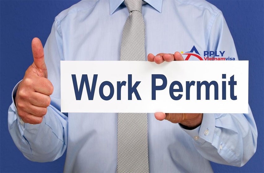 Work Permits and Employment Laws in Different Nations